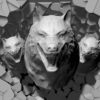 Angry-Wolf-3D-Projection-Head-demolish-on-wall-Mapping-Loop-gyqaxh-1920_006 VJ Loops Farm