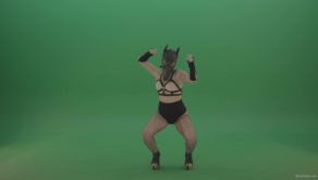 vj video background Girl-in-wolf-fetish-mask-sit-down-and-stand-up-making-hand-beat-on-green-screen-hxmhuw-1920_003