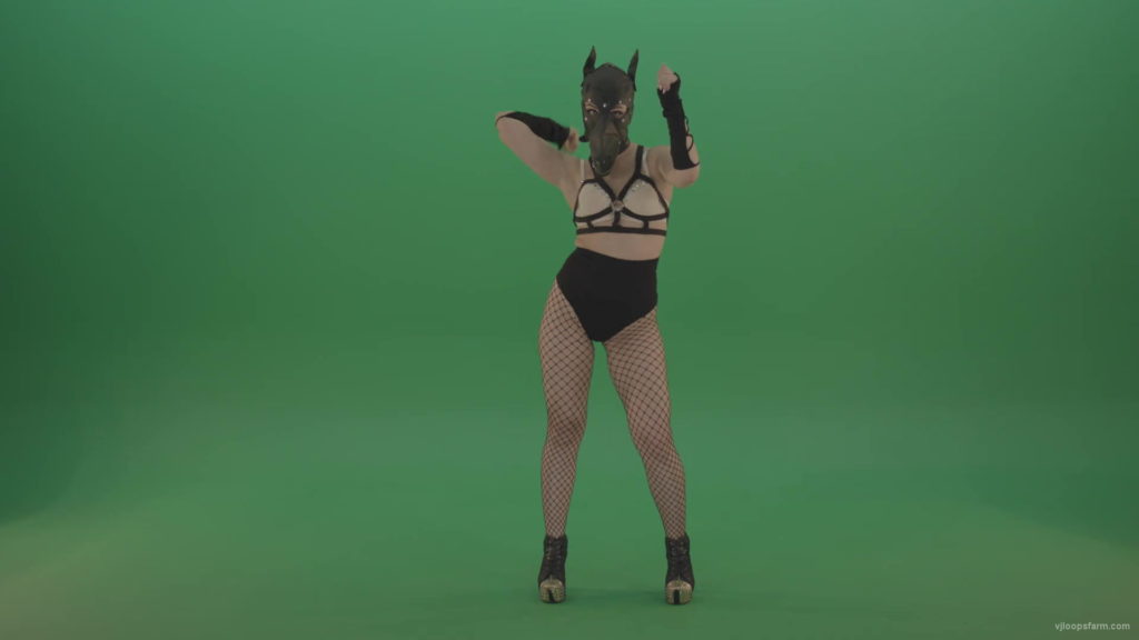 Girl-in-wolf-fetish-mask-sit-down-and-stand-up-making-hand-beat-on-green-screen-hxmhuw-1920_009 VJ Loops Farm