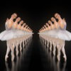 Ballerina-dancing-ballet-swan-dance-in-tunnel-isolated-on-back-VJ-Loop-kgacpm-1920_004 VJ Loops Farm