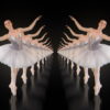Ballerina-dancing-ballet-swan-dance-in-tunnel-isolated-on-back-VJ-Loop-kgacpm-1920_007 VJ Loops Farm