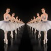 Ballerina-dancing-ballet-swan-dance-in-tunnel-isolated-on-back-VJ-Loop-kgacpm-1920_008 VJ Loops Farm