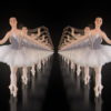 Ballerina-dancing-ballet-swan-dance-in-tunnel-isolated-on-back-VJ-Loop-kgacpm-1920_009 VJ Loops Farm