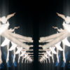 Ballet-Girls-dancing-opera-on-blue-electro-background-4K-Video-Loop-imdrk8-1920_008 VJ Loops Farm