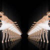 Ballet-Swan-dancing-girl-flying-in-tunnel-on-black-4K-VJ-Footage-yph6bj-1920_005 VJ Loops Farm