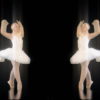 Classical-ballet-swan-russian-opera-dance-video-art-vj-footage-4K-9e1je9-1920_001 VJ Loops Farm