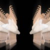 vj video background Classical-ballet-swan-russian-opera-dance-video-art-vj-footage-4K-9e1je9-1920_003