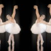 Classical-ballet-swan-russian-opera-dance-video-art-vj-footage-4K-9e1je9-1920_004 VJ Loops Farm