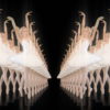 Classical-ballet-swan-russian-opera-dance-video-art-vj-footage-4K-9e1je9-1920_005 VJ Loops Farm