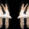 Classical-ballet-swan-russian-opera-dance-video-art-vj-footage-4K-9e1je9-1920_007 VJ Loops Farm
