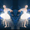 Electro-Ballet-by-white-swan-lake-girls-on-lightning-background-4K-Video-iobmmo-1920_008 VJ Loops Farm