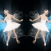 Elegant-elite-performance-by-ballet-dancers-4K-Video-Loop-mr64al-1920_006 VJ Loops Farm