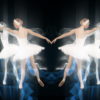 Elegant-elite-performance-by-ballet-dancers-4K-Video-Loop-mr64al-1920_007 VJ Loops Farm