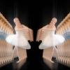 Luxury-holographic-ballet-dancing-woman-video-art-4K-VJ-Footage-nrdp2t-1920_008 VJ Loops Farm