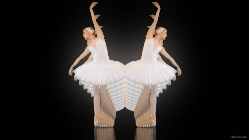 Swan-Dance-by-ballet-blondy-girl-over-black-background-VJ-Footage-y2cws9-1920_007 VJ Loops Farm