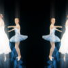 Swan-Lake-Ballet-dancing-girl-video-art-looped-VJ-Footage-xkqdjn-1920_007 VJ Loops Farm