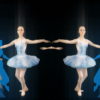 Swan-Lake-Ballet-dancing-girl-video-art-looped-VJ-Footage-xkqdjn-1920_009 VJ Loops Farm