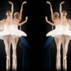 Swan-Lake-Ballet-in-Pixel-Sorting-gradient-Video-Art-Vj-Footage-oqaleq-1920_005 VJ Loops Farm
