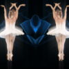 Swan-Lake-Ballet-in-Pixel-Sorting-gradient-Video-Art-Vj-Footage-oqaleq-1920_007 VJ Loops Farm