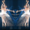 Swan-Lake-Ballet-in-Pixel-Sorting-gradient-Video-Art-Vj-Footage-oqaleq-1920_008 VJ Loops Farm