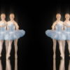 Symmetric-Girls-group-dancing-ballet-Hologram-4K-VJ-Footage-cvmgp0-1920_005 VJ Loops Farm