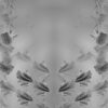 Abstract-mirroring-flying-sand-monochromatic-looped-animation-fkzdev-1920_004 VJ Loops Farm