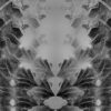 Abstract-mirroring-flying-sand-monochromatic-looped-animation-fkzdev-1920_005 VJ Loops Farm