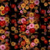 Big-Red-Yellow-Pink-Gerbera-Flowers-Falling-Dowm-Concert-Decoration-pe6ti9-1920 VJ Loops Farm