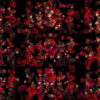 Blood-Red-Carnation-Bouquets-Falling-Down-Festive-Scene-Decoration-zcaayh-1920 VJ Loops Farm