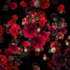 Blood-Red-Carnation-Bouquets-Falling-Down-Festive-Scene-Decoration-zcaayh-1920_005 VJ Loops Farm