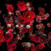 Blood-Red-Carnation-Bouquets-Falling-Down-Festive-Scene-Decoration-zcaayh-1920_008 VJ Loops Farm