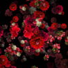 Blood-Red-Carnation-Bouquets-Falling-Down-Festive-Scene-Decoration-zcaayh-1920_009 VJ Loops Farm