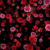 Blood-Red-Carnation-Flower-Buds-fall-down-motion-background-xxonti-1920_001 VJ Loops Farm