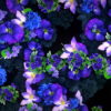 Blue-Flowers-Slowly-Flying-Over-Screen-Looped-Motion-Background-luoz7l-1920_001 VJ Loops Farm