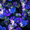 Blue-Flowers-Slowly-Flying-Over-Screen-Looped-Motion-Background-luoz7l-1920_002 VJ Loops Farm