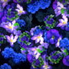 vj video background Blue-Flowers-Slowly-Flying-Over-Screen-Looped-Motion-Background-luoz7l-1920_003