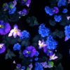 Blue-Flowers-Slowly-Flying-Over-Screen-Looped-Motion-Background-luoz7l-1920_007 VJ Loops Farm