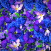 vj video background Blue-Purple-Violets-Counter-Move-Flows-Looped-Motion-Background-xg1knr-1920_003