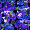 Blue-Purple-Violets-Counter-Move-Flows-Looped-Motion-Background-xg1knr-1920_007 VJ Loops Farm