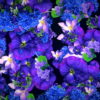 Blue-Purple-Violets-Counter-Move-Flows-Looped-Motion-Background-xg1knr-1920_008 VJ Loops Farm
