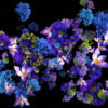 Blue-and-Purple-Violets-Flowers-move-up-right-flow-looped-concert-decorations-cmukvt-1920_002 VJ Loops Farm