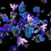 Blue-and-Purple-Violets-Flowers-move-up-right-flow-looped-concert-decorations-cmukvt-1920_008 VJ Loops Farm