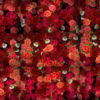 Colorful-Roses-Bouquets-Flowing-Up-Looped-Motion-Background-mt4u9m-1920 VJ Loops Farm