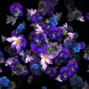 Falling-Slowly-Violets-Flowers-Motion-Background-cm0obb-1920_002 VJ Loops Farm