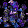 Falling-Slowly-Violets-Flowers-Motion-Background-cm0obb-1920_006 VJ Loops Farm