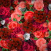 Festive-Looped-Decoration-of-Roses-Flowers-Counter-Move-Flows-kpyxk1-1920_004 VJ Loops Farm