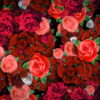 Festive-Looped-Decoration-of-Roses-Flowers-Counter-Move-Flows-kpyxk1-1920_008 VJ Loops Farm