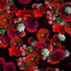 Multi-layered-diagonal-move-of-red-autumn-carnation-flower-motion-background-halq8g-1920_002 VJ Loops Farm