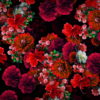 vj video background Multi-layered-diagonal-move-of-red-autumn-carnation-flower-motion-background-halq8g-1920_003