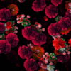 Multi-layered-diagonal-move-of-red-autumn-carnation-flower-motion-background-halq8g-1920_005 VJ Loops Farm